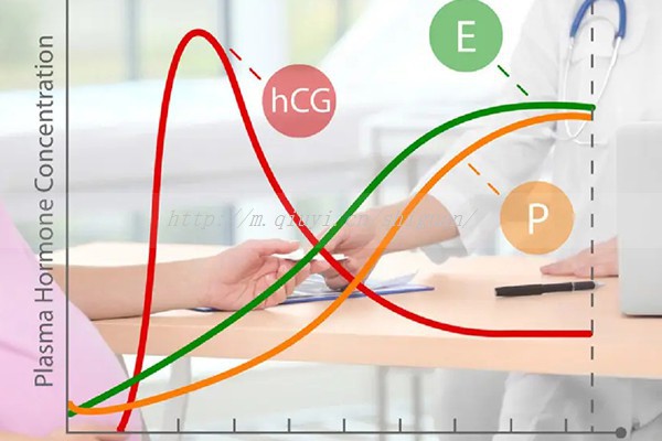 验孕棒怎么用？板型和笔型使用方法图解快看