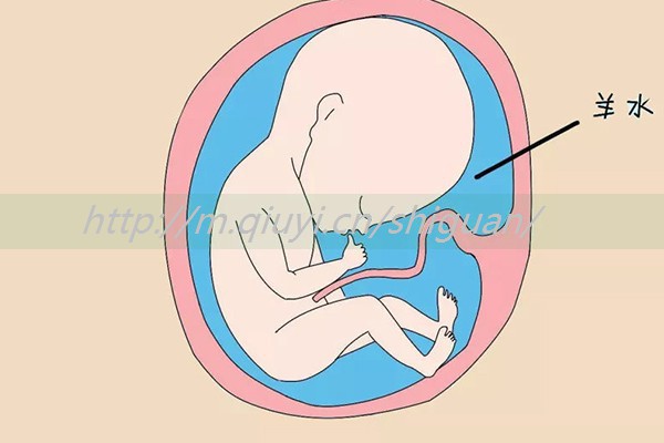 羊穿结果5号染色体微重复孩子能不能要？遗传是原因之一