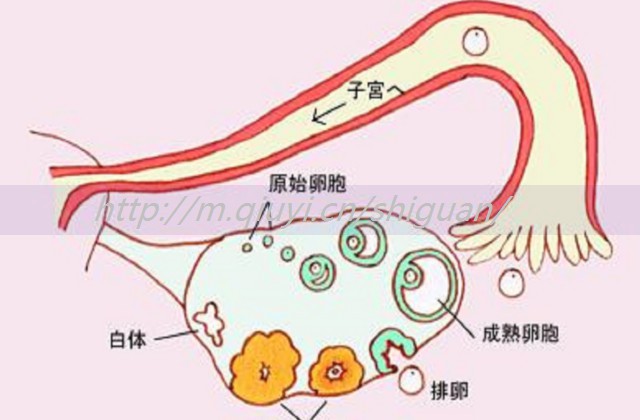 为什么医生不建议婴儿吃米油？还没达到这个月龄