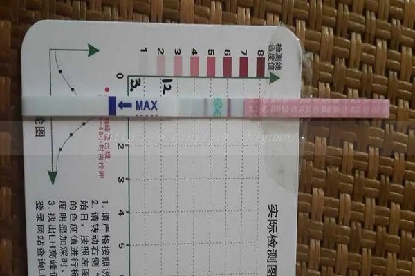 孕囊形态欠规则几天可以长好？保胎成功15天可长好