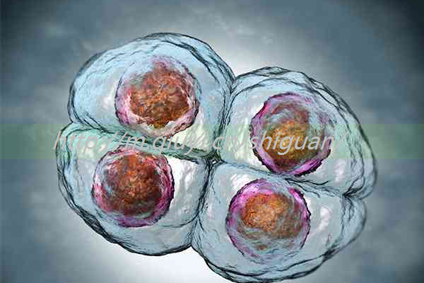 着床失败分泌物什么样？从白带样子、颜色可辨别