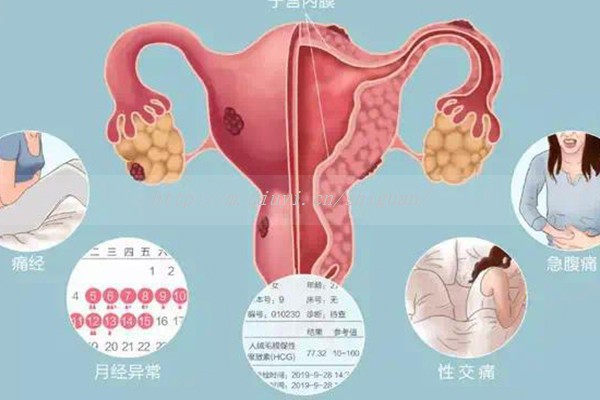 玛特纳多维元素片的功效与作用，补充叶酸、维生素等效果好