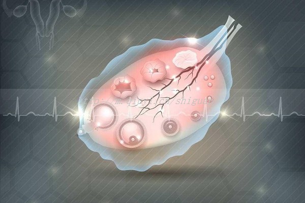 哪款儿童早教机牌子好？高性价比、高销量品牌推荐